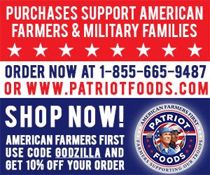 Patriot Foods 300x250